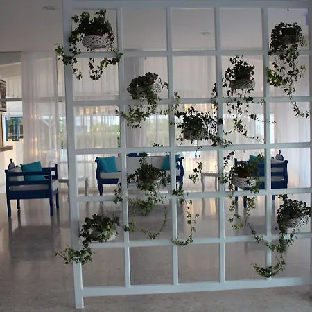 Flokkas 2* Protaras